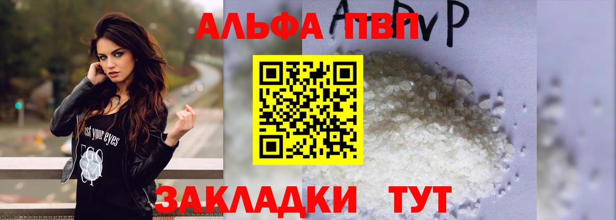 A PVP СК Заводоуковск