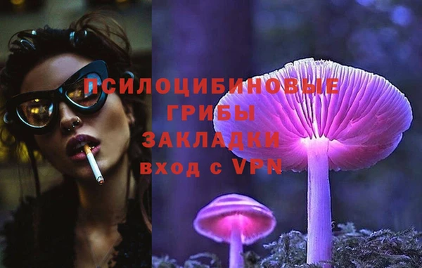 индика Воткинск
