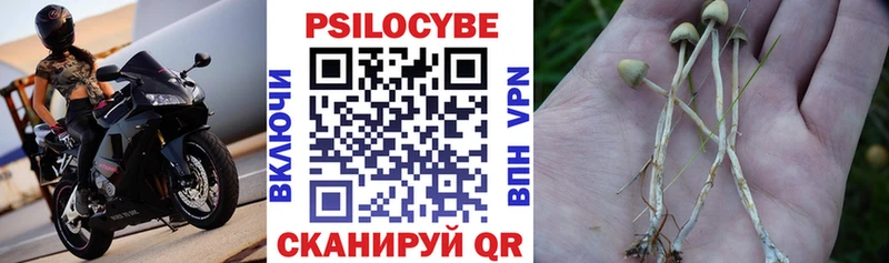 закладка  OMG рабочий сайт  Псилоцибиновые грибы Cubensis  это Telegram  Заводоуковск 