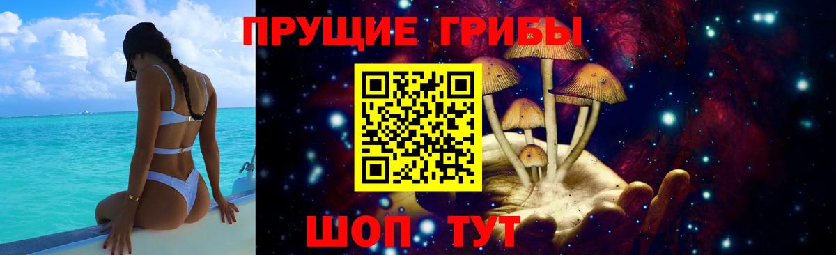 Галлюциногенные грибы GOLDEN TEACHER  хочу   Заводоуковск  Вход с VPN  Галлюциногенные грибы Psilocybe 